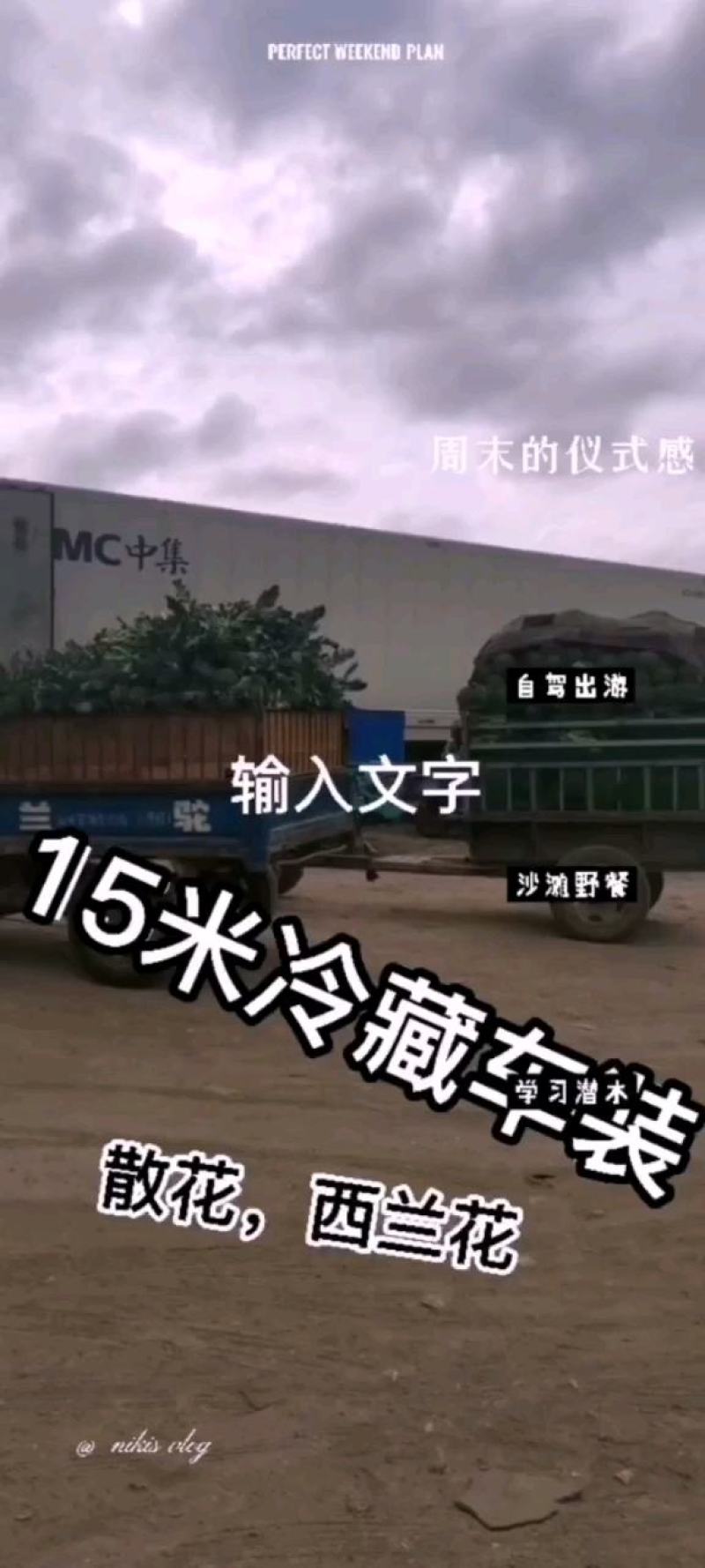 兰州高原夏菜精品西兰花，产地直供，量大从优，一手货源！