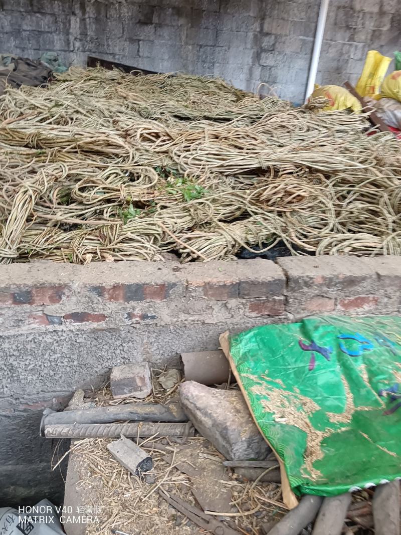 抽筋腾，抽筋草，抽筋草根