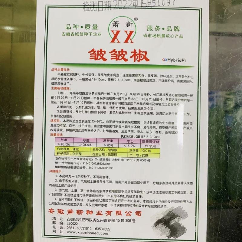 皱皱辣种子特辣皮薄浓辣牛角形小皱皮辣椒种子萧新皱皱椒