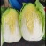 黄心白菜