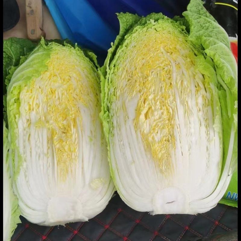 黄心白菜