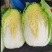 黄心白菜