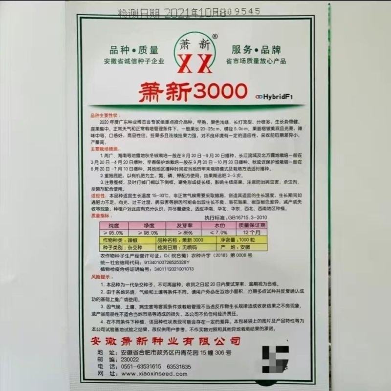 萧新3000辣椒种子果面褶皱美观大果型薄皮椒种子蔬菜种