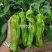 萧新3000辣椒种子果面褶皱美观大果型薄皮椒种子蔬菜种