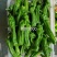 萧新3000辣椒种子果面褶皱美观大果型薄皮椒种子蔬菜种