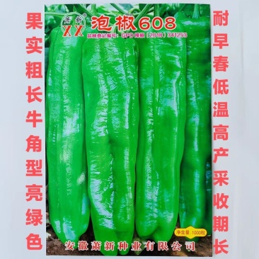 辣椒种子泡椒608辣椒种果实粗长牛角型亮绿色高产采收长辣
