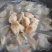 海胆水饺，海肠水饺，大连特色，工厂产品。欢迎来电