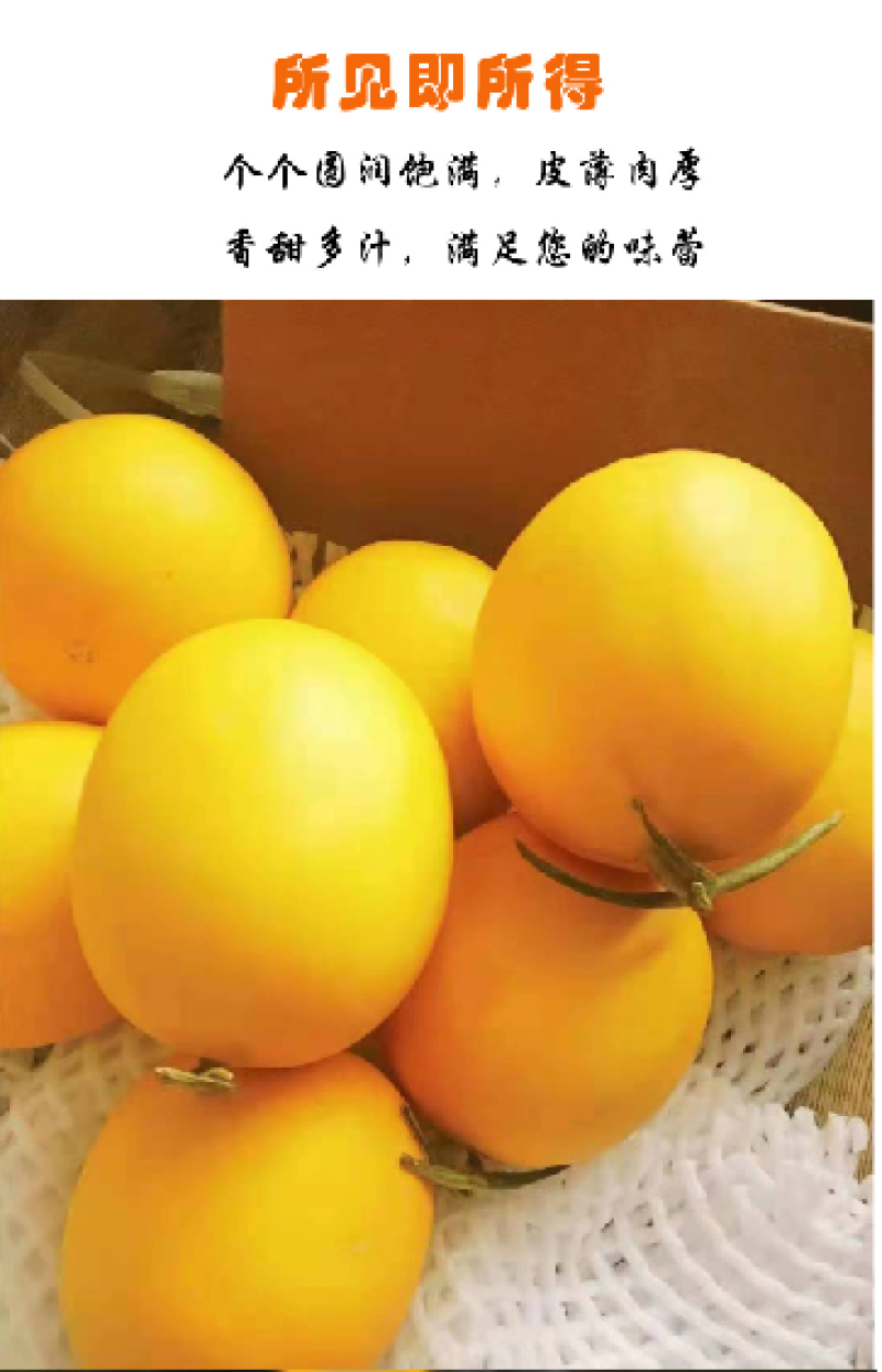 甘肃民勤沙漠蜜瓜，皮糙肉厚，软糯香甜