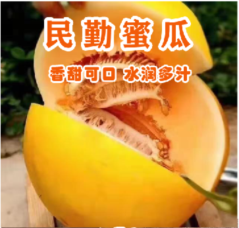 甘肃民勤沙漠蜜瓜，皮糙肉厚，软糯香甜