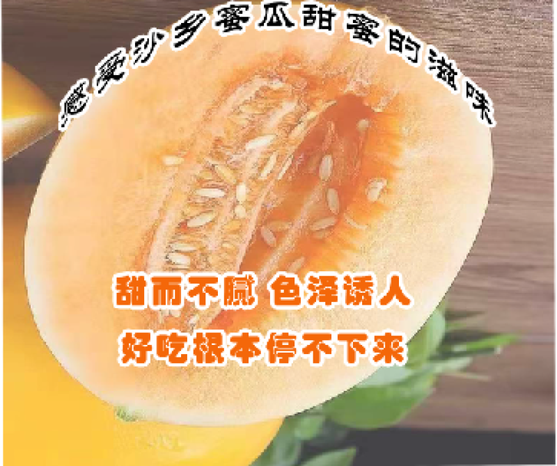 甘肃民勤沙漠蜜瓜，皮糙肉厚，软糯香甜