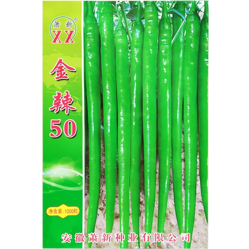 金辣50线椒种子早熟椒果长30-35厘米横径1.8-2厘