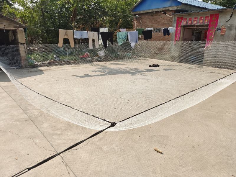 网箱拉网抬网防鸟网隔断网拦河网及各种捕鱼网养殖网种植爬藤