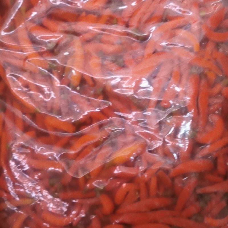 泡红小米
