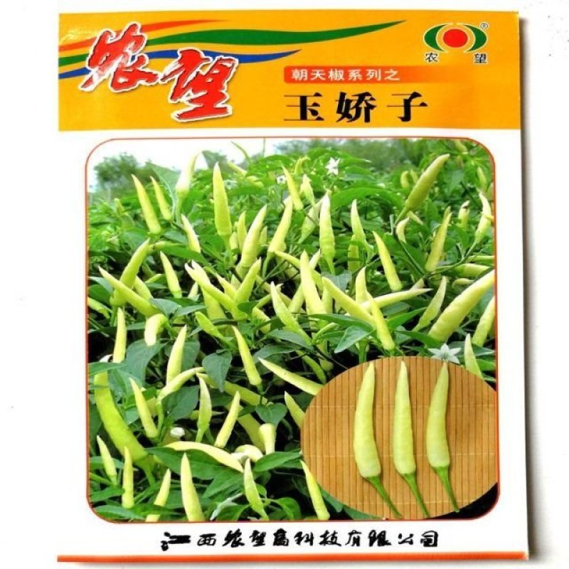 农望玉娇子朝天椒种子5g早熟小米椒白米辣种孑果形美观口感