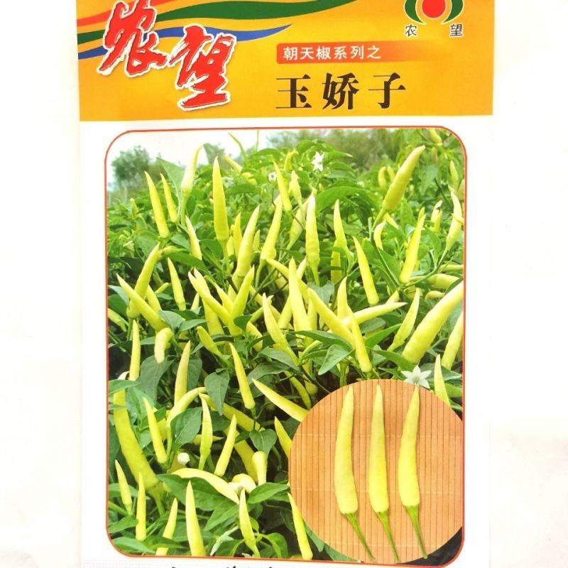 农望玉娇子朝天椒种子5g早熟小米椒白米辣种孑果形美观口感