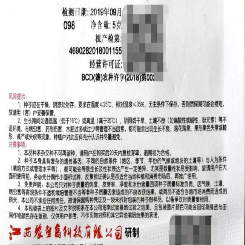农望玉娇子朝天椒种子5g早熟小米椒白米辣种孑果形美观口感
