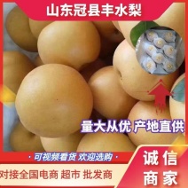 丰水梨海量货源大量供应商超市场多多仓美团仓电商一件代发