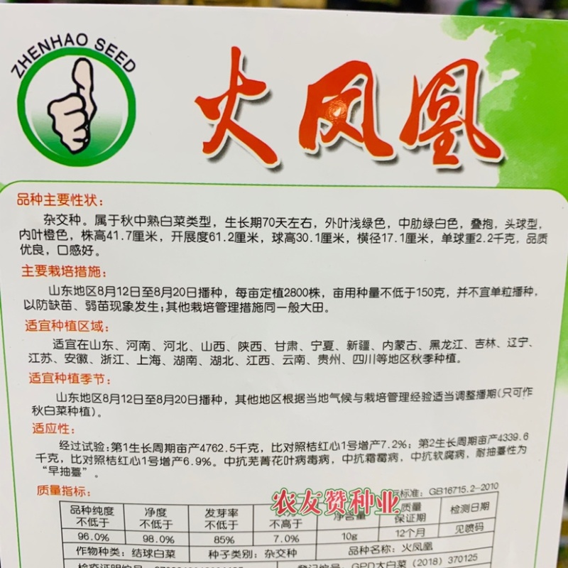 火凤凰大白菜种子内叶橙色白菜叠抱，秋季中熟白菜种籽