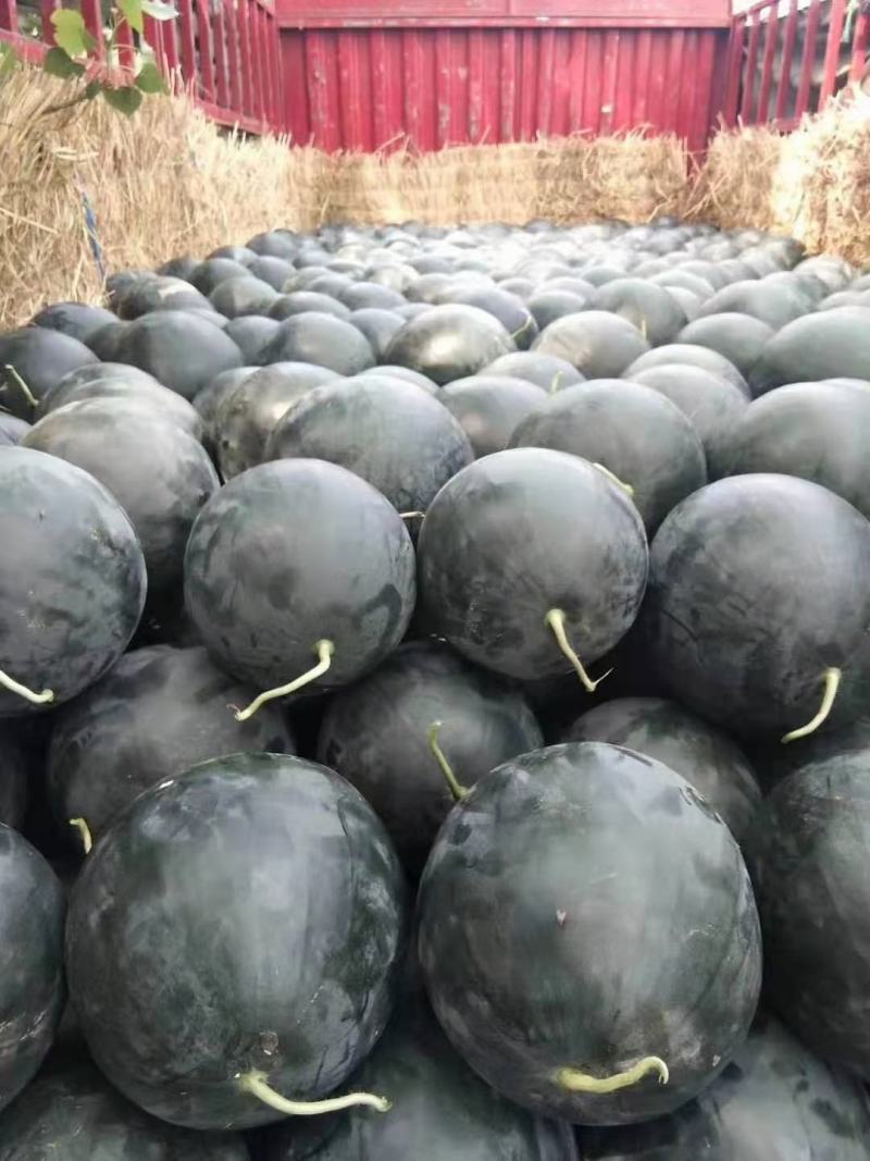 西瓜，纯黑皮无籽西瓜