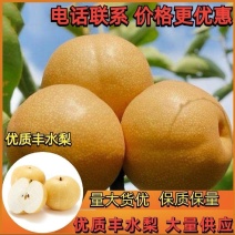丰水梨海量货源供应市场多多仓美团仓直播带货电商一件代发