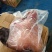 黄牛牛头肉清水牛头肉带皮牛脸肉牛肚牛杂牛蹄真空牛头
