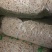 通草，通花杆，大量购销