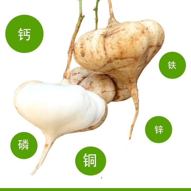 凉薯新鲜现挖凉薯质量保证湛江基地供应市场货，电商货