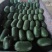 【精品】黑皮水果小冬瓜，产地直销，一手货源，电商超市专供