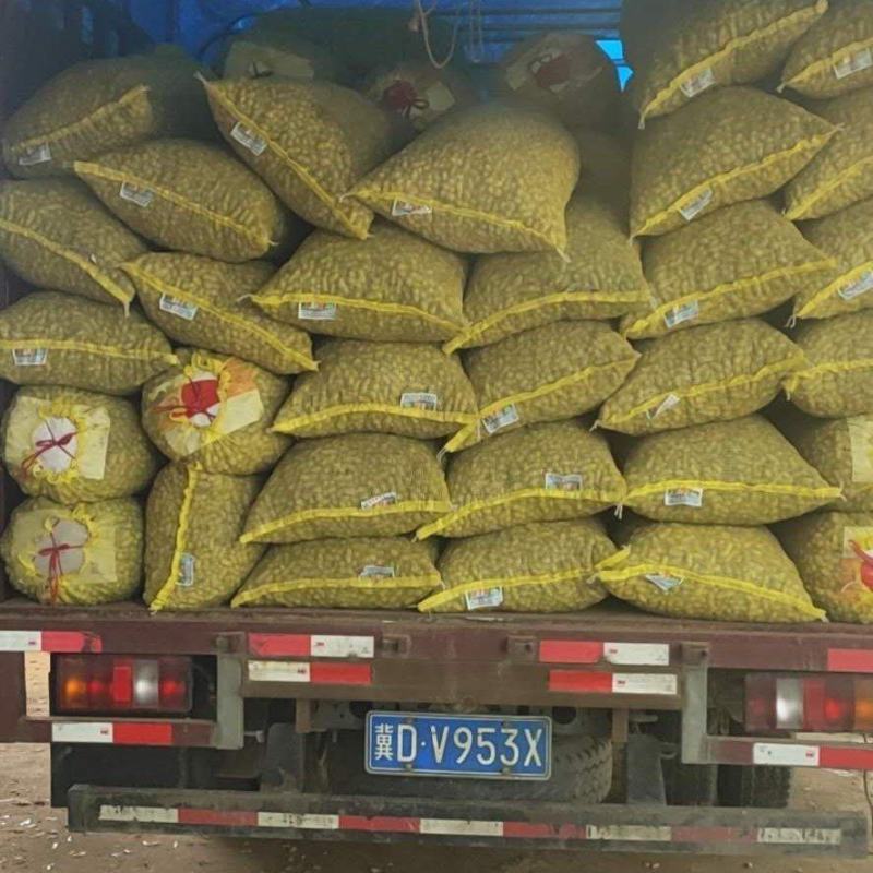 精品鲜花生，大白沙小白沙湿花生过筛子手选果电商市场大量