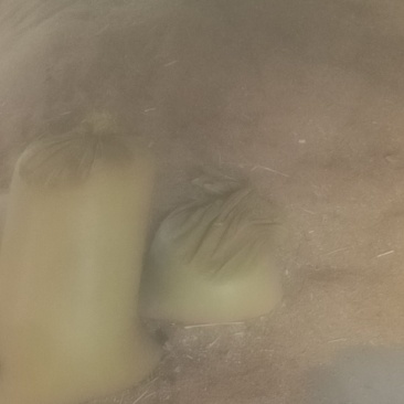 新小麦