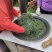 纯手工香艾茶陈年老茶茶香四溢正宗地道自家种植
