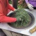 纯手工香艾茶陈年老茶茶香四溢正宗地道自家种植