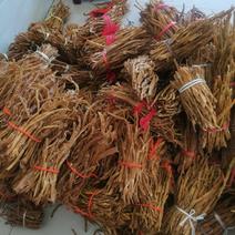 神农架野生竹笋干，一首货源，都是嫩尖尖，晒干的