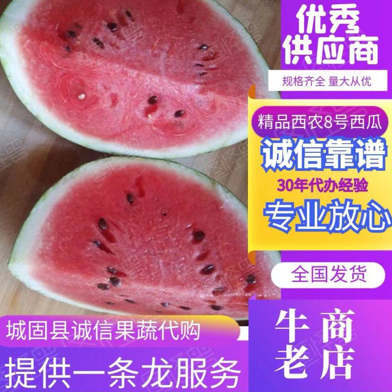 金城金花，西农8号，8斤打底包熟包甜一手货源全国发货