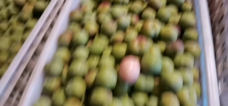 半边红大量上市了哦