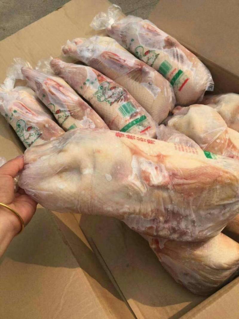 白条鸭