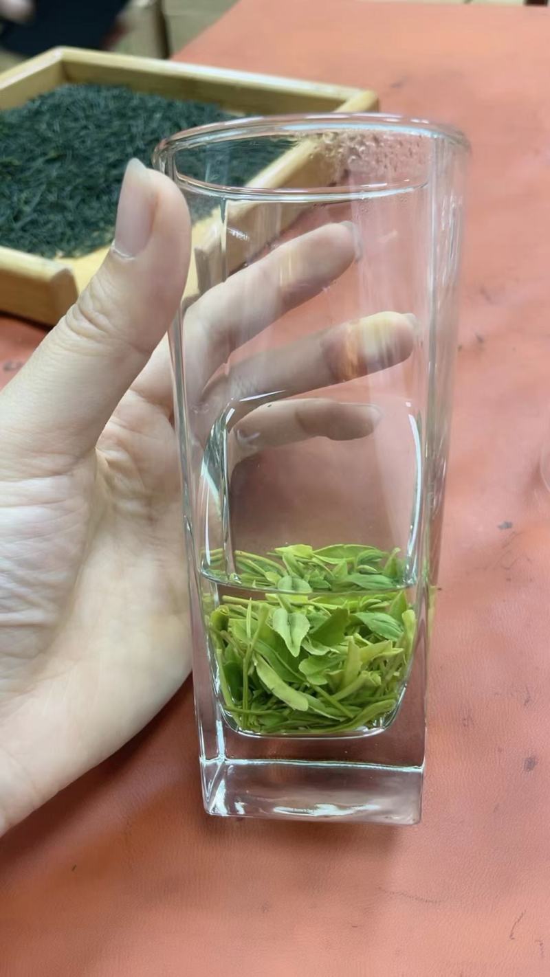 湖北绿茶毛尖茶恩施农村茶叶乡下茶明前茶春茶