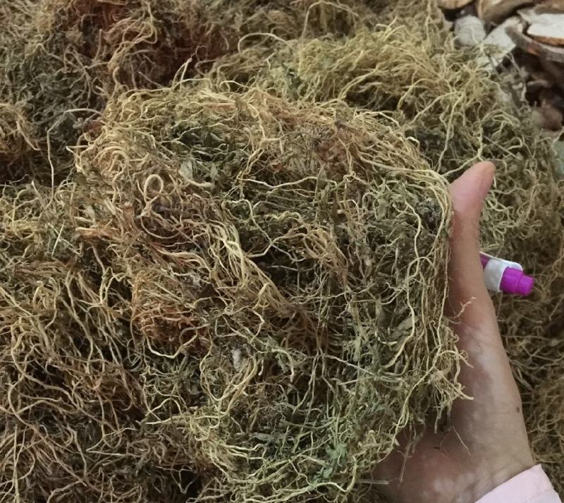 半边莲统装500g产地广西振兴药材购销站量大从优