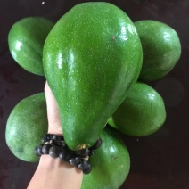 牛油果，哈斯牛油果新鲜水果整箱批发鳄梨营养辅食大果