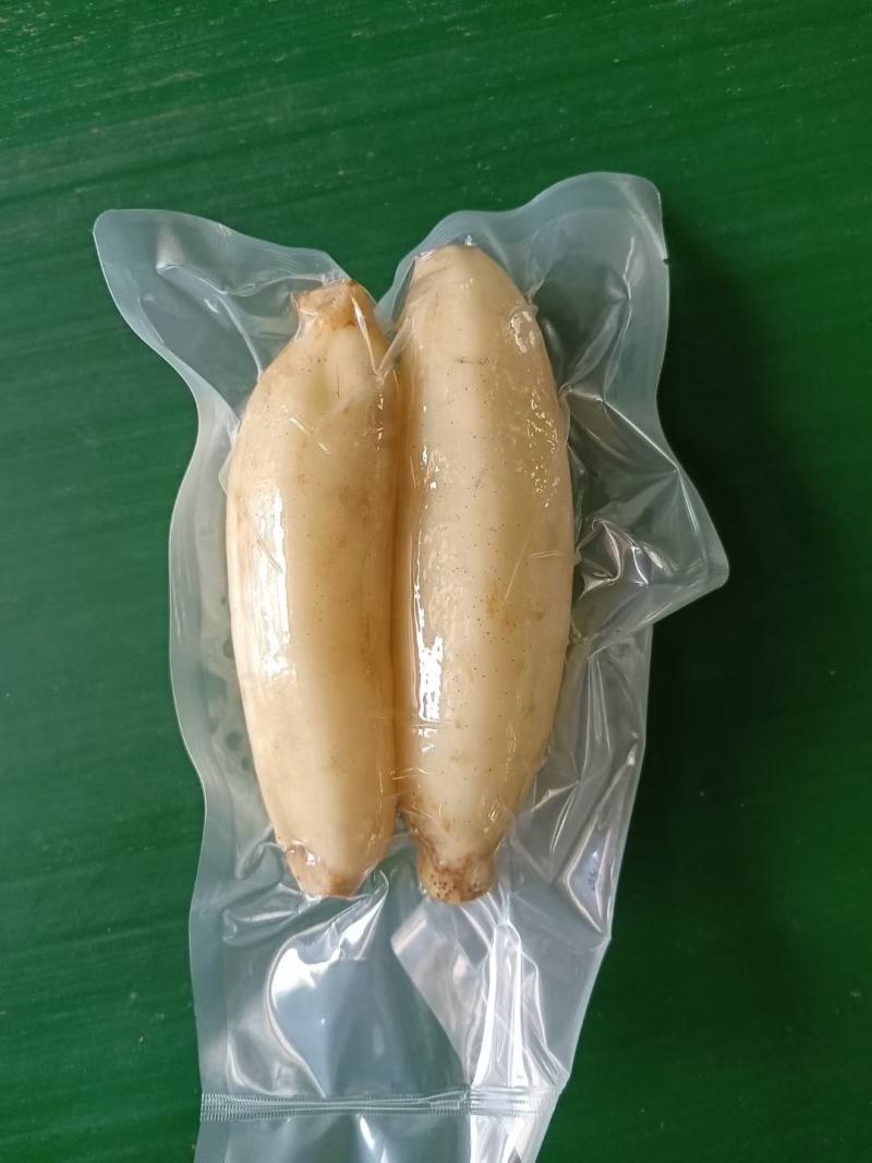 莲藕洪湖粉藕，真空包装！地标千亩基地，产地直供！电联采购