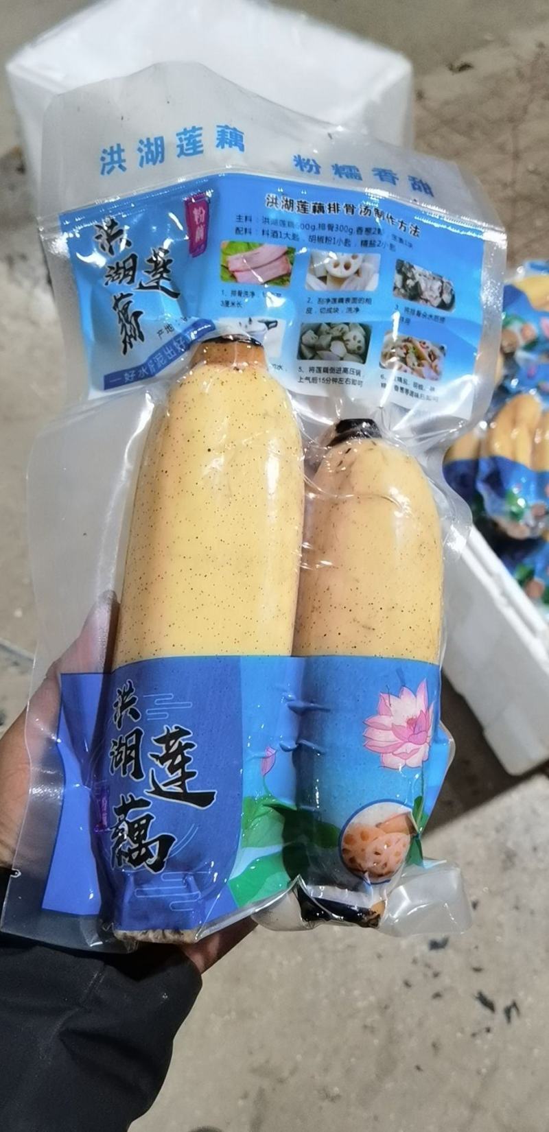 莲藕洪湖粉藕，真空包装！地标千亩基地，产地直供！电联采购