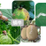 奥丰6%四聚乙醛蔬菜甘蓝蜗牛农药杀虫剂农用撒施