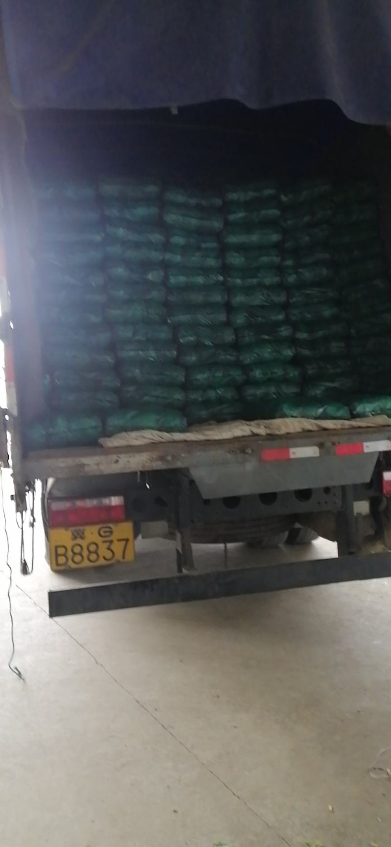 精品甘蓝，专业种植合作社，货源稳定，欢迎采购咨询