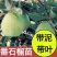 番石榴树