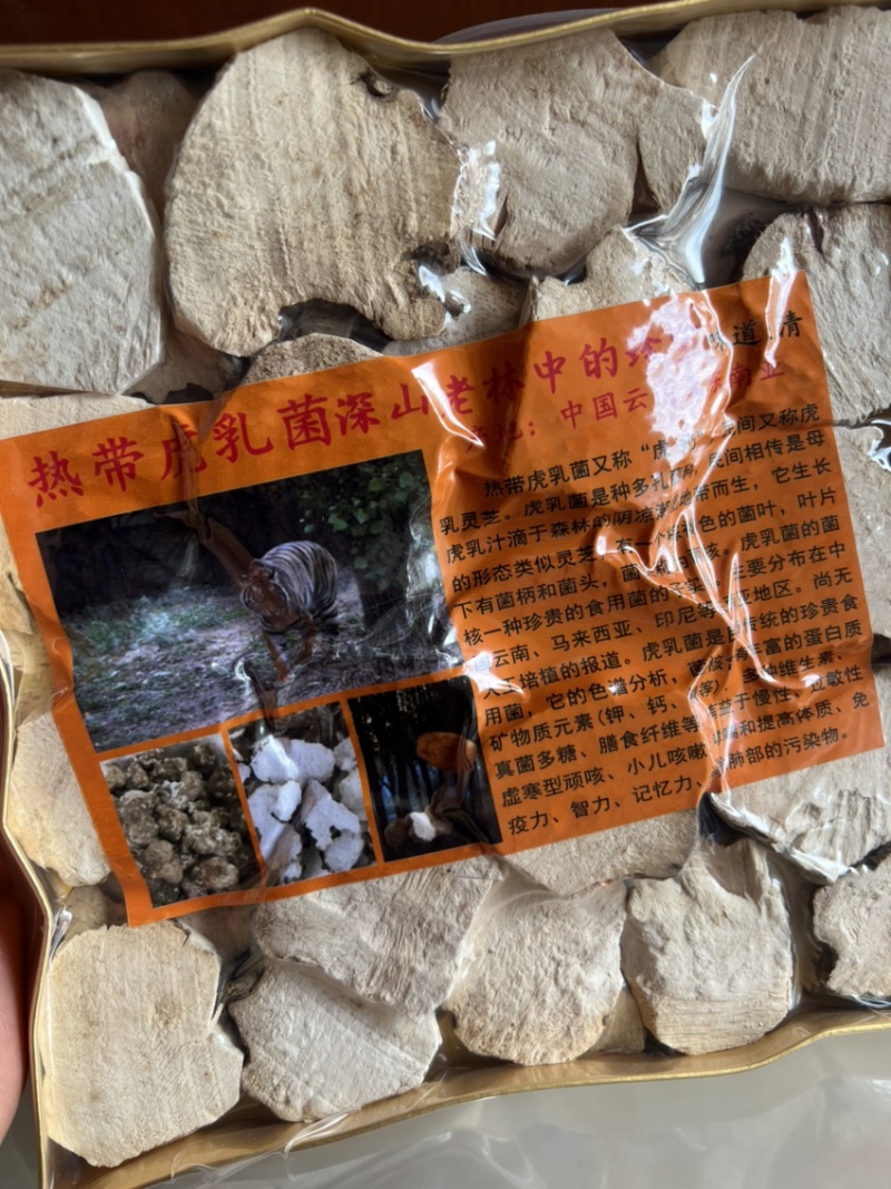 野生虎奶菌虎乳菌1包250克精选中大片虎奶菇