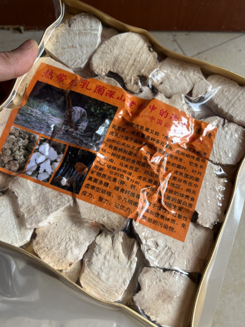 野生虎奶菌虎乳菌1包250克精选中大片虎奶菇