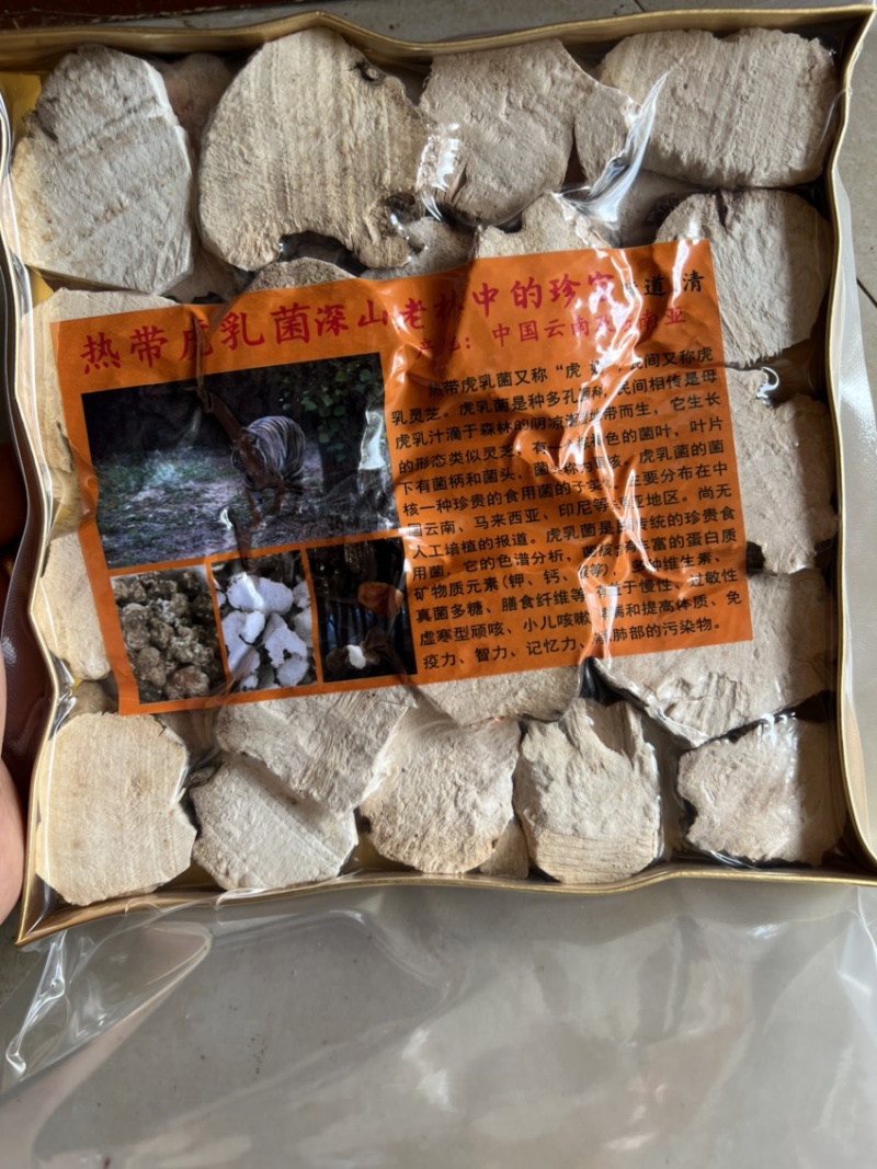 野生虎奶菌虎乳菌1包250克精选中大片虎奶菇