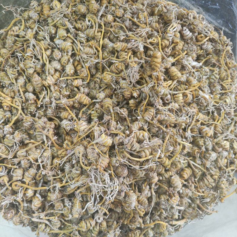 霍山铁皮石斛龙头凤尾霍山石斛胶质好汤水好
