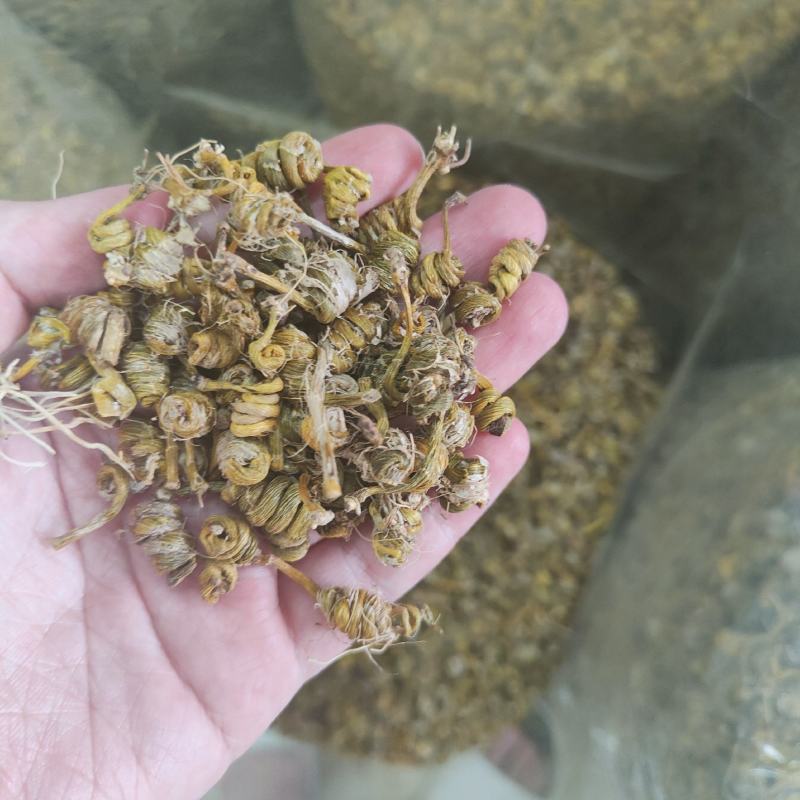 霍山铁皮石斛龙头凤尾霍山石斛胶质好汤水好