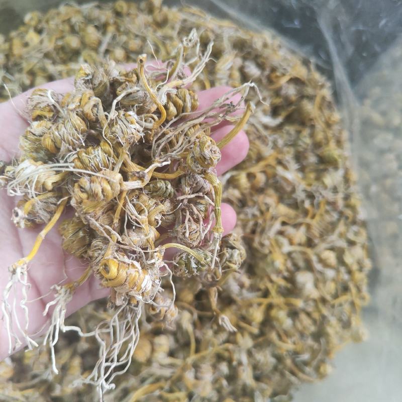 霍山铁皮石斛龙头凤尾霍山石斛胶质好汤水好